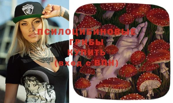 дмт Бородино