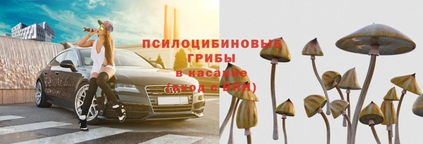 дмт Бородино