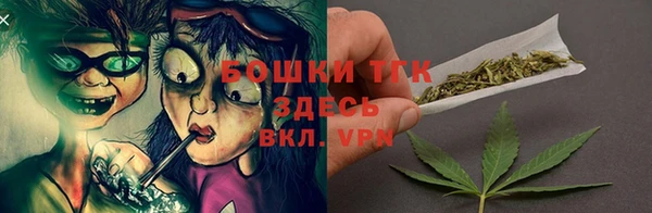 дмт Бородино