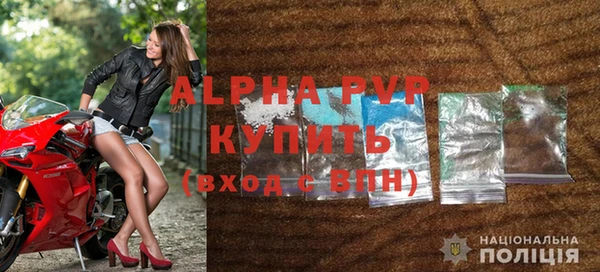 дмт Бородино