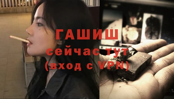 дмт Бородино