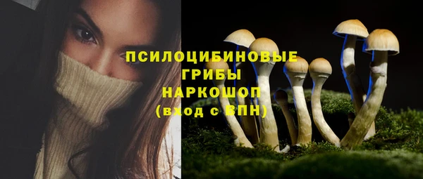 прущая мука Бронницы
