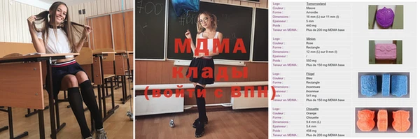 дмт Бородино