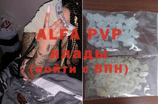 дмт Бородино