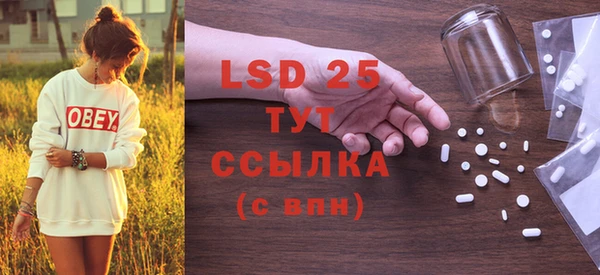 дмт Бородино