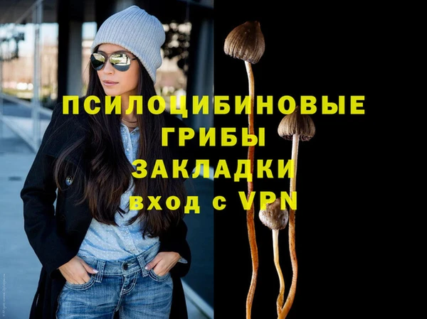 дмт Бородино