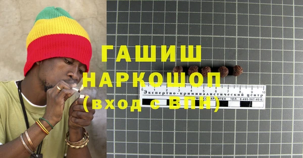 дмт Бородино