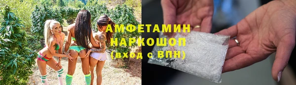 дмт Бородино
