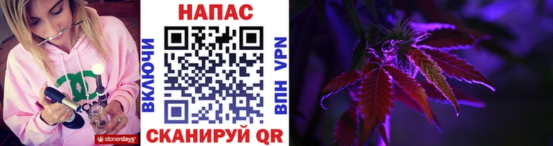 хочу наркоту  Йошкар-Ола  Конопля ГИДРОПОН 